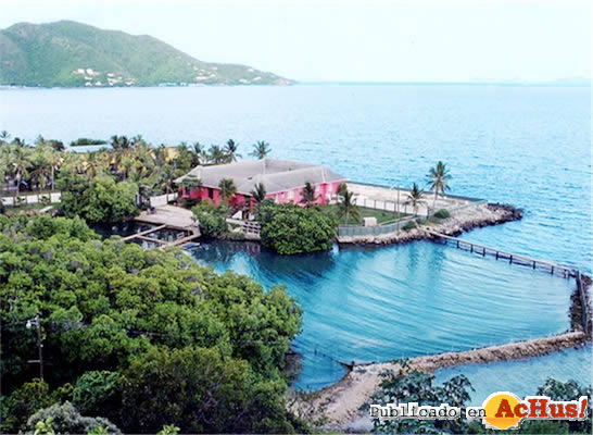 Dolphin Discovery Tortola